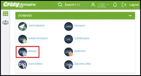 How to Set Up Domain Aliases with Your Hosting Provider