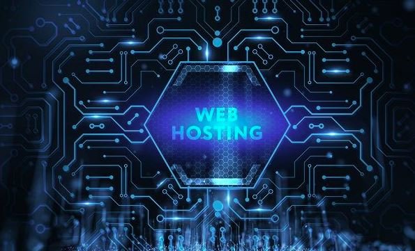 How to Back Up Your Domain Hosting Data