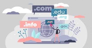 Domain Extensions Explained .com vs .net vs .org