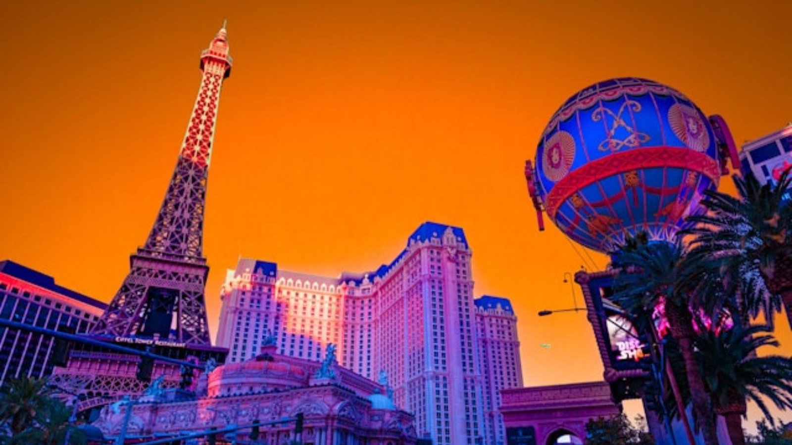 Wolf Winner Online Casino vs Wild Card City (1)