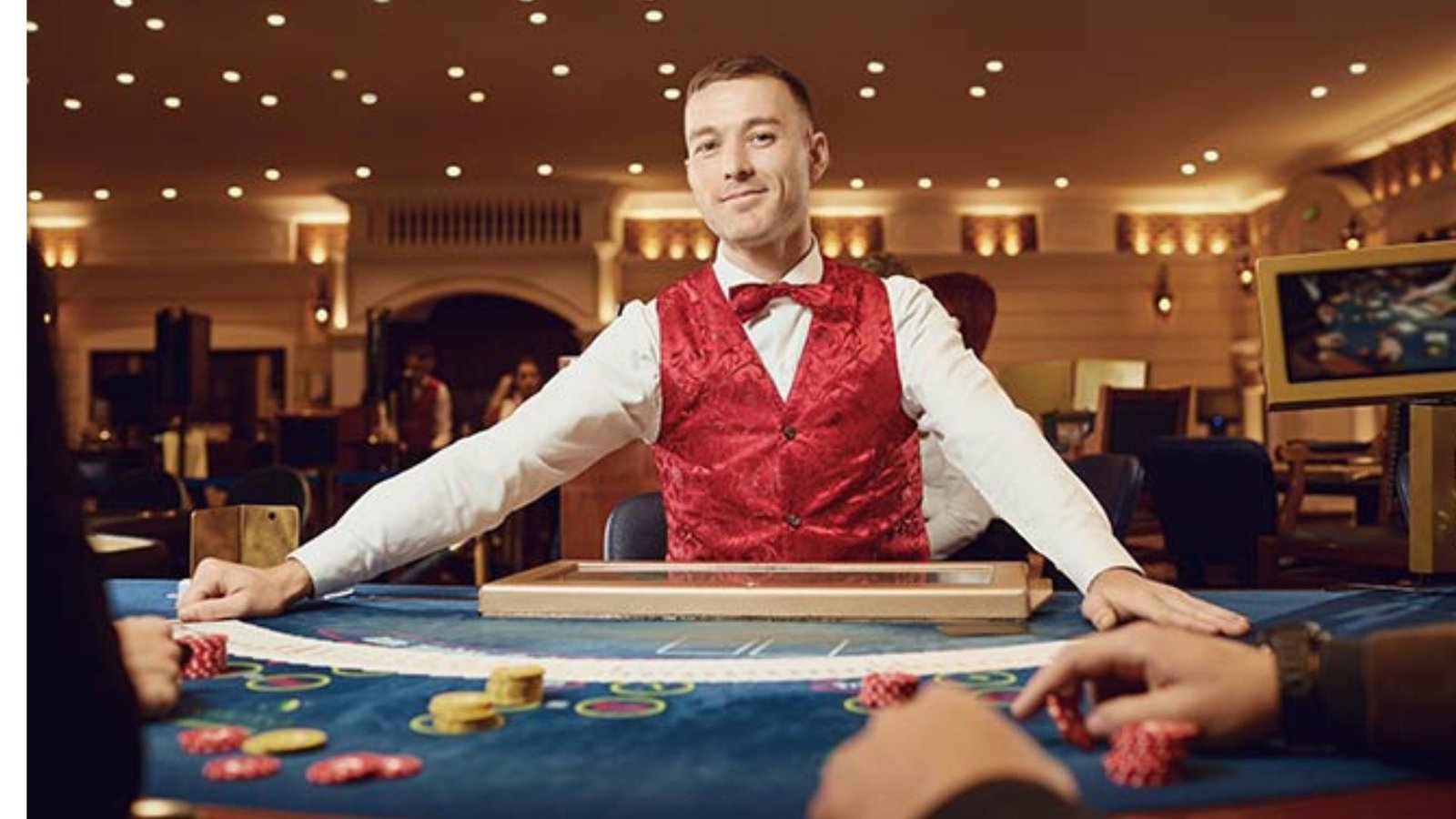 Wolf Winner Casino Free Spins Review vs Joe Fortune 2026 UX Comparison